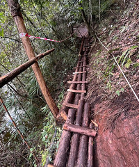 ����ɽͽ����ô�̼�