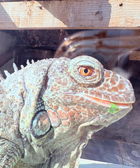 �������������ž���