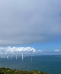 ƽ̶���ճ�����