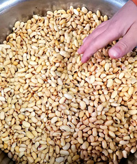 ����۶��������ڼ��������ˣ��򵥣��ְ��ֽ�����