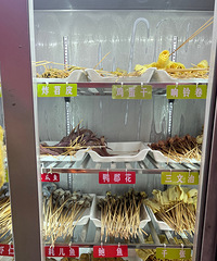 Ƚ�Ұ�������Կ�����úã�������ѵ��������ⷹ