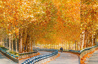 ������������ͩ���������ޣ��ؼ������ٳ���