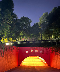 ������Ů�Ļ��������ǡ����ظ��ң����Ҹ��衱��