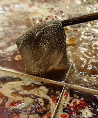 ̫��û�Ի������������ͳζ����