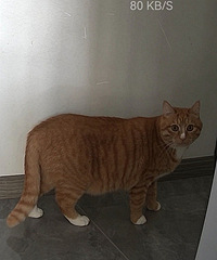 �ţ��������ˣ�����ͷ����