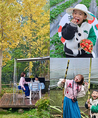 ��ĩȥס������ժ��ݮ�������ᣬιС����