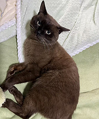 ��ĩ���С��������������