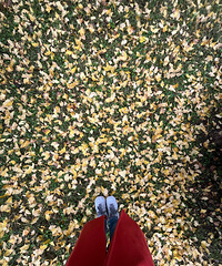 ��һ��������