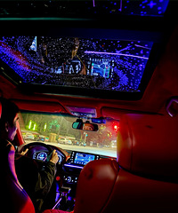 ��Ҷ��������Լ����ĺ������ᳵ�����ڶ�û��������֪ɶ�о�