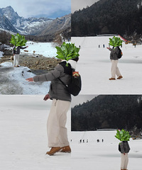 �ߣ���ס��ȫ����2026��Ԫ��ȥ���ڶ����컨����﹵