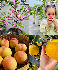 ���㿪ʼ������ũ���ҵĹ������ɼ�