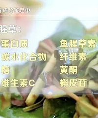 ���塰�Ĵ����ˡ����������У�����������