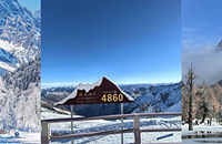 ��ס��ȫ����2026Ԫ��ȥ���ڶ����컨����﹵