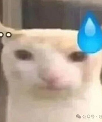 ��ǰ��������VS���ڵ������ۣ�û׼���£���Ҫ�ֵ��˾���֪��