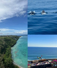 �˾�6000�飬ȥ�����ɿ�����