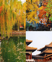 �������ѡһ��ʱ��ȥ��������һ��������