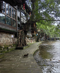 Ҳû�и���˵����������ƫ����ô����