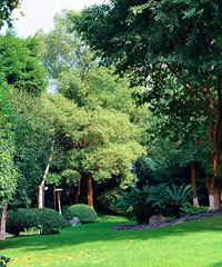 ����һ���콭���ǵĻ��������Ǻ�Ư����