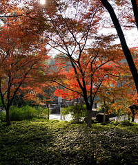 ���조����ɽ����