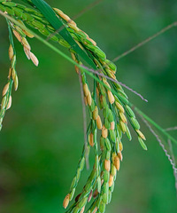 [�Ծ�]����������İ���˶Ի�������50����Щ�������