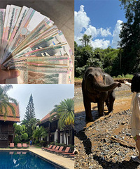 �˾���ǧ�����𳵳�����ȥ�Ų�����