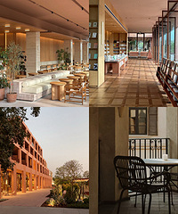 ���ݰ����������������������̫������