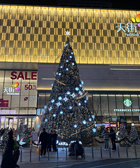 [����]����������ҵ̬��������ֺͰ������˭��ʤһ�