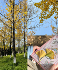 ���빫԰�����ӻ��ˣ�������һ��Ŷ