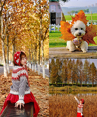 ����������ͩ�����̫���ˣ��������Ķ��ÿ�