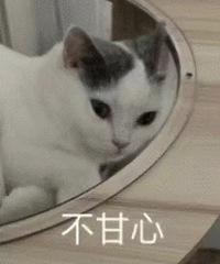 �Ϲ��ĳ��Ӳ�ˣ��ҵĻ��������������������Ϊ��