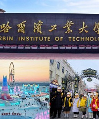 ����Ӫȥ��������ˣѩ��������