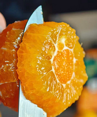 [�Ƽ�]������࣬�Ҷ���������ϸ�����۱�֭����ζ������Ũ