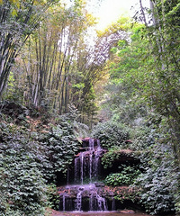 [����]88��185CM�ֵ����ҹ�����Ա���飬���󷿺�������