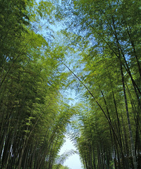 ���ˣ������һ���������Լ���