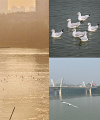 ���˵���ʯ����������ط�Ҳ�ܿ���Ÿ