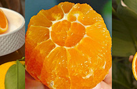 ��������Ҷ������������۱�֭����ζ������Ũ