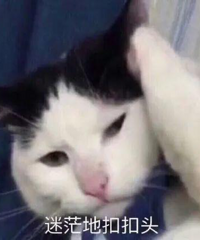 ������û�����أ�����ûɶ�õļ��ܣ�һ��������