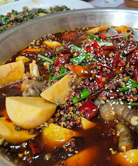 ��������������鴫