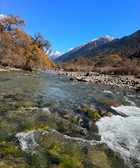 �������أ���Ʊ��ѣ����Ʊ��ˣ����پ���