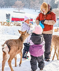 ����ȥС�˰��룬��������