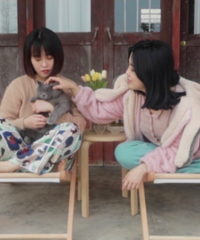 ����29�����ݵ������ˣ����������罻����������