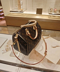 ��˭������LV speedy25��ԭ������