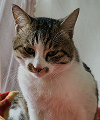 è������360�������ǵ�˧