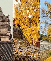 ���ǵ����������ӣ������������ζ