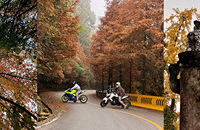 �����ܱ����Ƽ����⼸���ط���Ҫ����