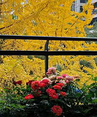 ���������ǵĻ������ڿ���