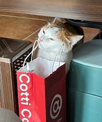 ����������Ա���ֺ�ζ��~