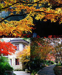 ��Ը��֮Ϊ����ġ�����ɽ����������ֱ���˻���