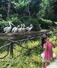 ���޳�������ѡ�¼���