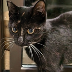 ��ץ�����С�����¼�